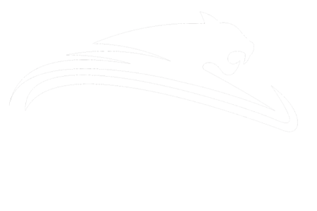 Speed Transport - Lean Assets client